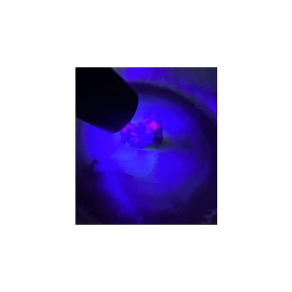 Mini Gemstone Toothless Carvings - Your Choice - Picture 7 of 10